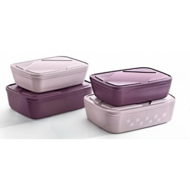 Форма для контейнера для хранения 2 размеров