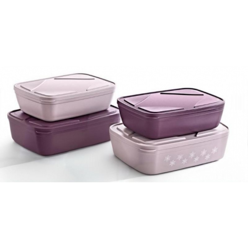 Форма для контейнера для хранения 2 размеров