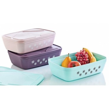 Форма для контейнера для хранения 2 размеров