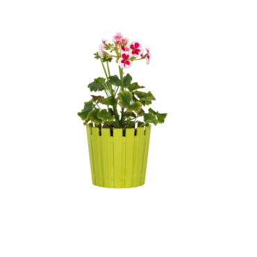 15 моделей цветочных горшков и форм для садовых групп