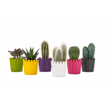 15 моделей цветочных горшков и форм для садовых групп