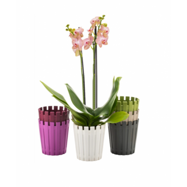 15 моделей цветочных горшков и форм для садовых групп