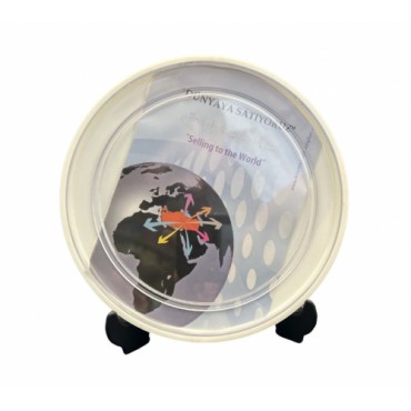 Фоторамка с ногой